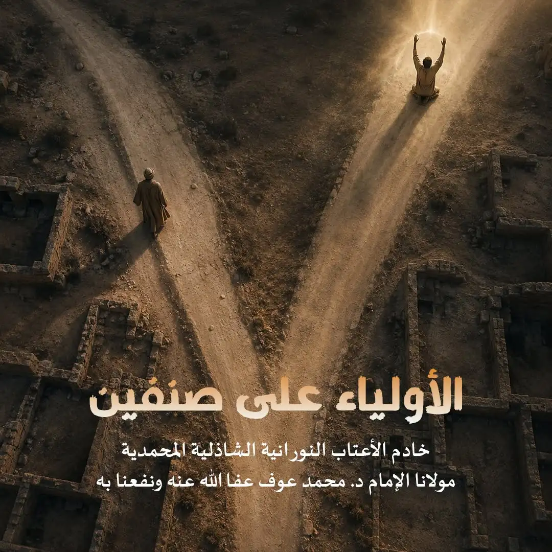 الأولياء على صنفين 